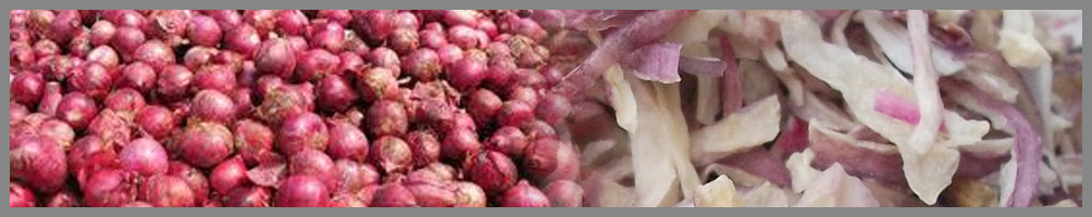 Dehydrated onion/garlic manufacturer