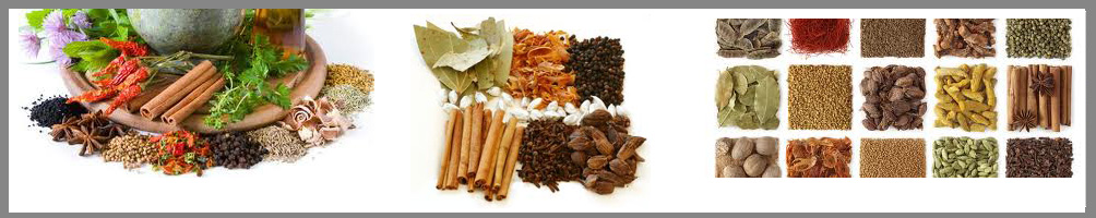 Catering Spices Suppliers